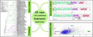 Graphical abstract 